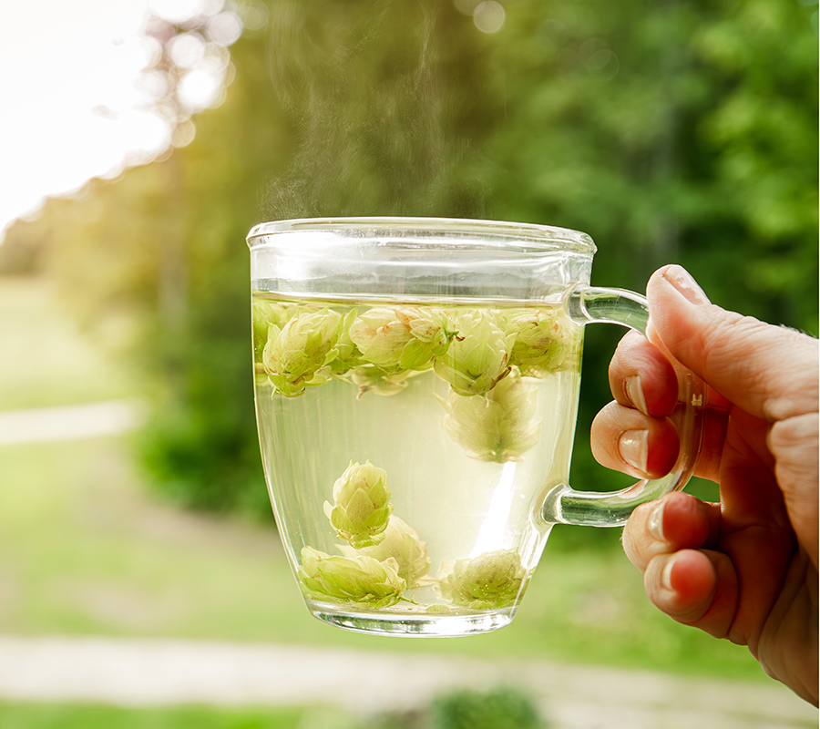 hopfen_angebot-2.jpg